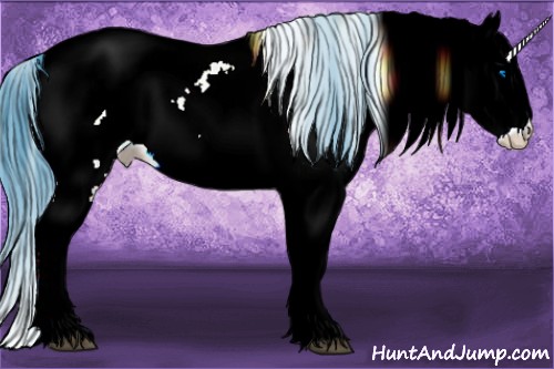 Horse Color:Watercolor White Spotted Bay Splash Appaloosa 