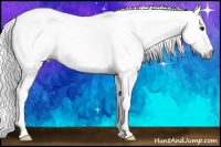 Horse Color:Gray Watercolor Bay Splash