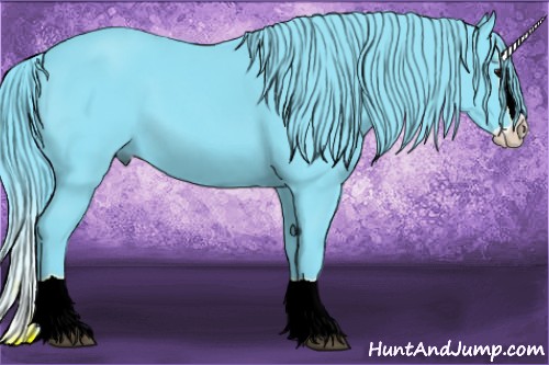 Horse Color:Watercolor Black Splash 