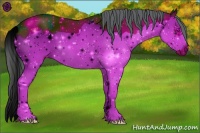 Horse Color:ERROR: UNKNOWN ANOMALY