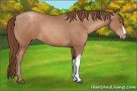 Horse Color:Brown Pearl