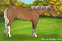 Horse Color:Silver Buckskin 