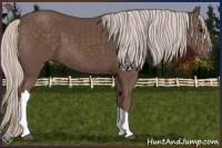 Horse Color:Silver Black 