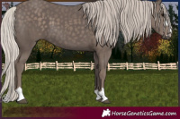 Horse Color:Silver Black 