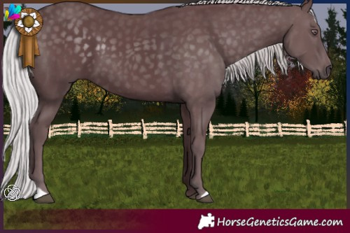 Horse Color:Chocolate Silver Black Chinchilla