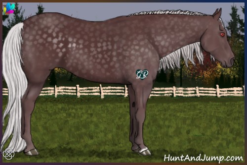 Horse Color:Chocolate Silver Black Chinchilla 