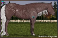 Horse Color:Chocolate Silver Black Chinchilla 