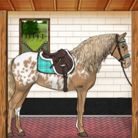 Horse Color:Chestnut Blanket 