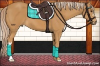 Horse Color:Palomino