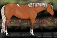 Horse Color:Silver Bay Tobiano 