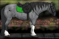 Horse Color:Blue Roan Tobiano