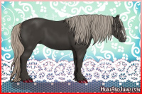 Horse Color:Gray Silver Black 