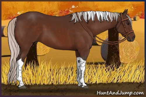 Horse Color:Silver Bay Tobiano 