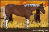 Horse Color:Silver Bay Tobiano 