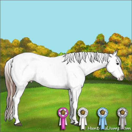 Horse Color:Black Appaloosa  and Black Appaloosa 