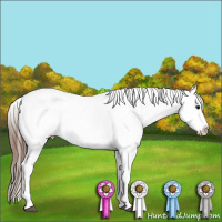Horse Color:Black Leopard  and Black Leopard 