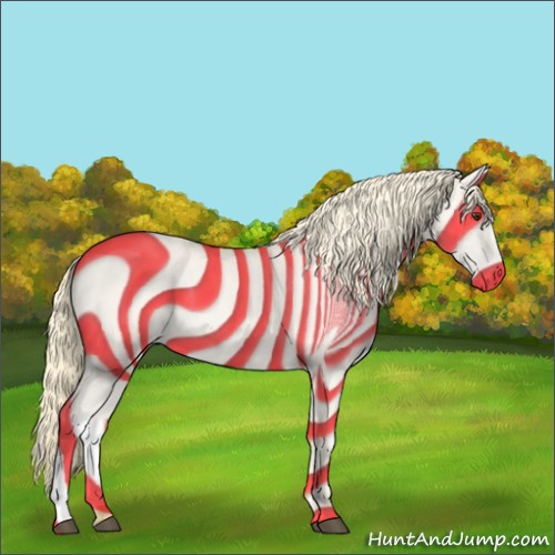 Horse Color:Palomino 