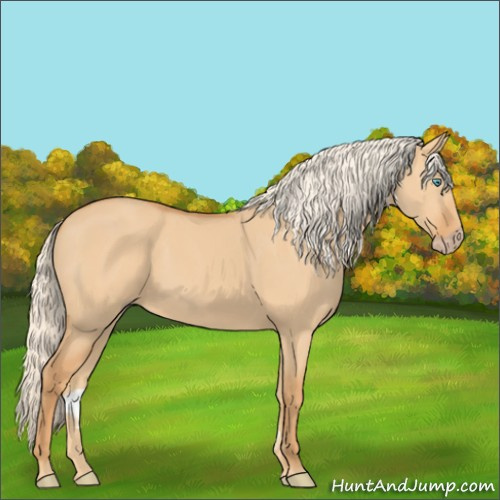 Horse Color:Gray Cremello Dun 