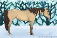 Horse Color:Amber Champagne Dun