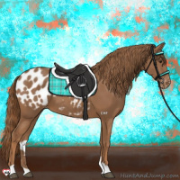 Horse Color:Chestnut Blanket 