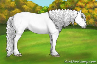 Horse Color:Gray Amber Champagne Dun Sabino Tobiano Appaloosa  and Gray Amber Champagne Dun Sabino Tobiano Appaloosa 