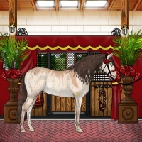 Horse Color:Sable Champagne Dun Brindle