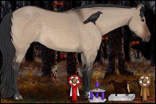 Horse Color:Brown Dun 