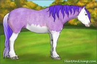 Horse Color:Watercolor Bay Roan Splash Rabicano 
