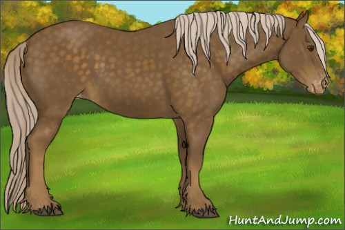 Horse Color:Chocolate Palomino Sabino Varnish