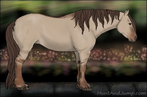 Horse Color:Liver Red Dun 