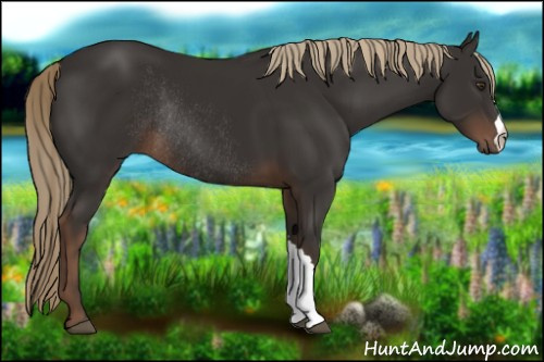 Horse Color:Liver Chestnut Rabicano 