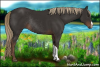 Horse Color:Liver Chestnut Rabicano 