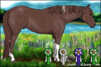 Horse Color:Chocolate Smoky Black Tobiano 