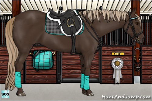 Horse Color:Liver Chestnut Rabicano