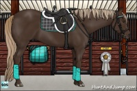 Horse Color:Liver Chestnut Rabicano 