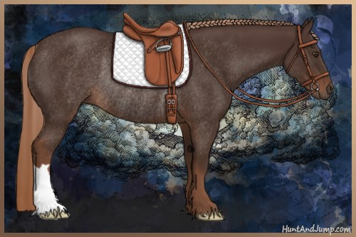 Horse Color:Liver Chestnut Rabicano 
