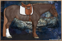 Horse Color:Liver Chestnut Rabicano 