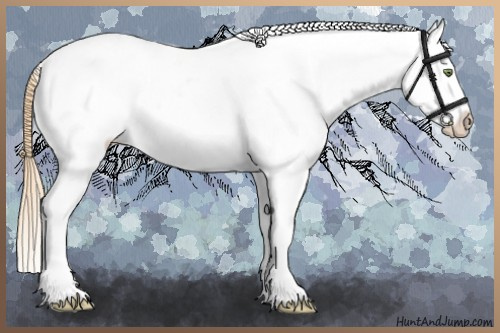 Horse Color:Gold Champagne Roan Dun Splash Tobiano Frame Near Leopard Rabicano 