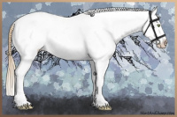 Horse Color:Gold Champagne Roan Dun Splash Tobiano Frame Near Leopard Rabicano