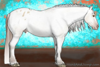Horse Color:Gray Classic Champagne Roan Dun Blanket Rabicano
