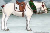 Horse Color:Silver Amber Champagne Roan Dun Splash Tobiano Frame Varnish Rabicano 