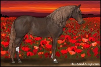 Horse Color:Liver Chestnut Rabicano 