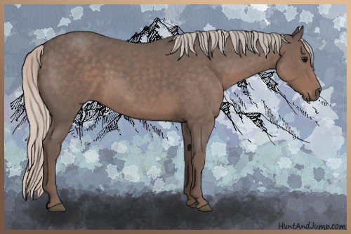 Horse Color:Silver Blue Roan Sabino 