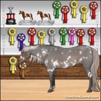 Horse Color:White Spotted Silver Blue Roan 