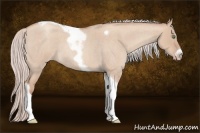 Horse Color:Silver Classic Champagne Roan Dun Tobiano Frame 