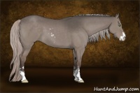 Horse Color:Silver Grullo Sabino 