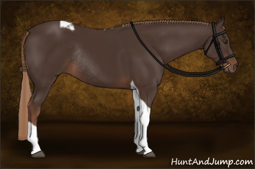 Horse Color:Liver Chestnut Tobiano Rabicano 