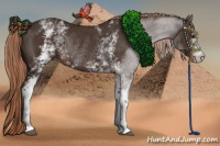 Horse Color:White Spotted Liver Chestnut Rabicano 