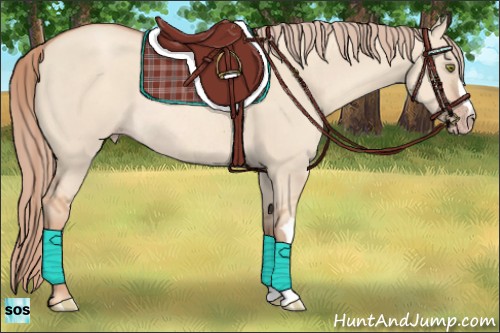 Horse Color:Gold Champagne Dun Rabicano 