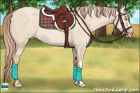 Horse Color:Gold Champagne Dun Rabicano